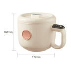 Compact All-in-One Electric Cooker