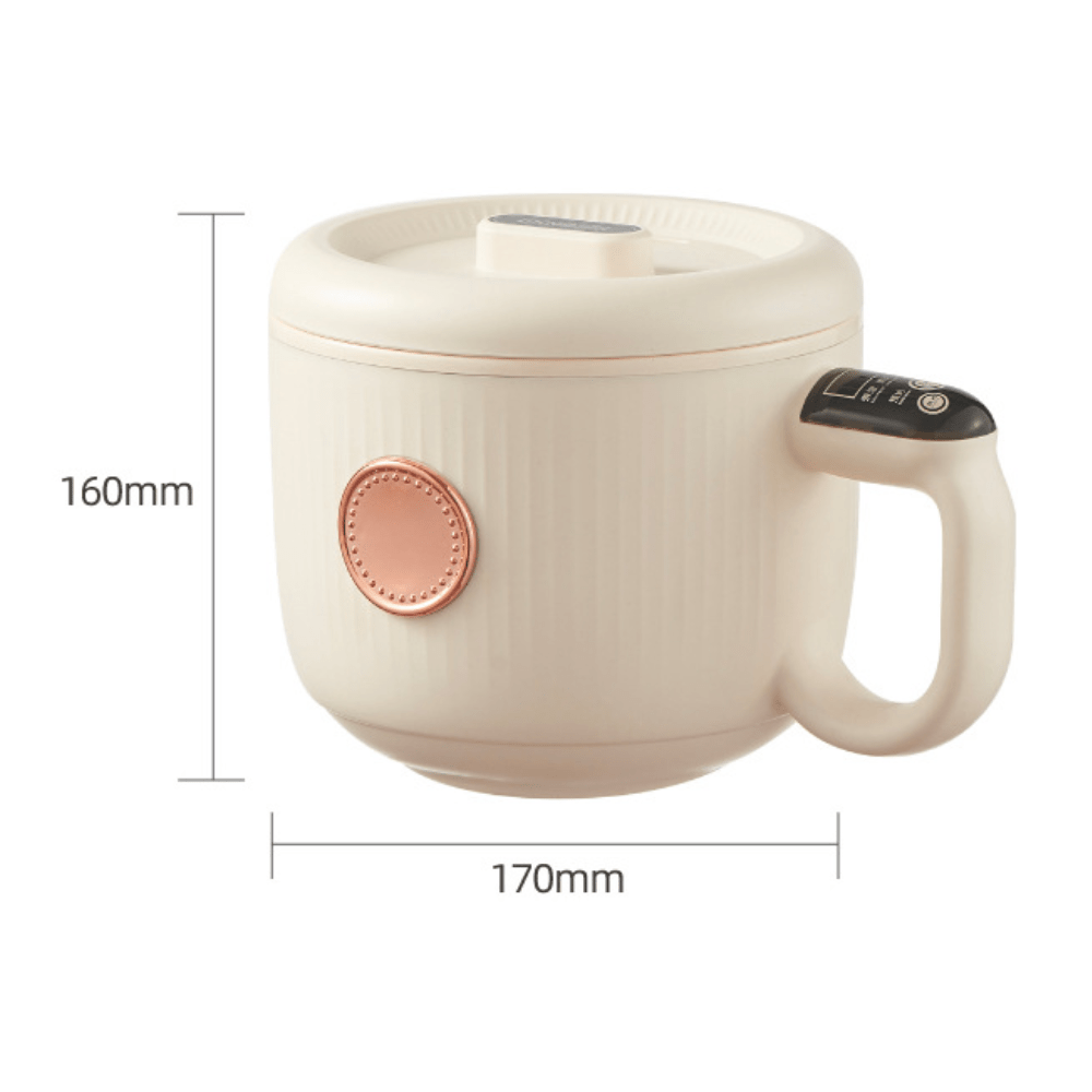 Compact All-in-One Electric Cooker