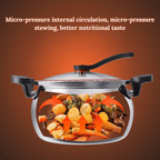 Multi-Use Micro-Pressure Cooker with Handle